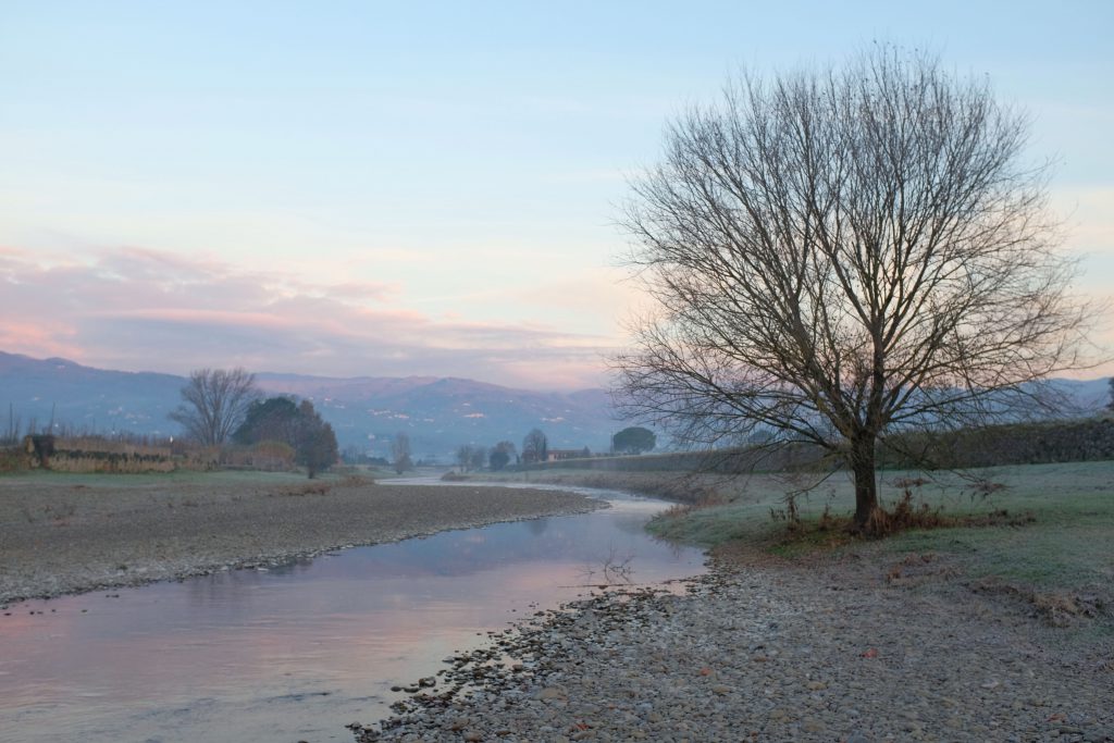 Argine del fiume Ombrone a Pistoia Fujifilm X100T